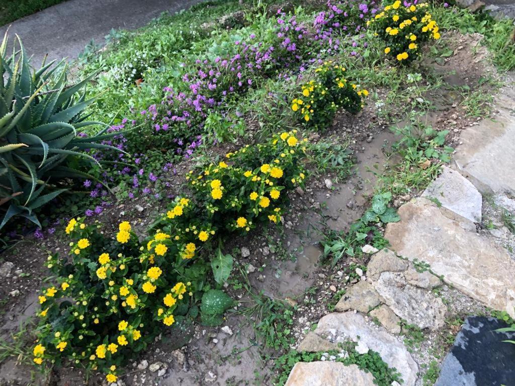 B&B Tenuta La Puntara كالتانيسيتا المظهر الخارجي الصورة