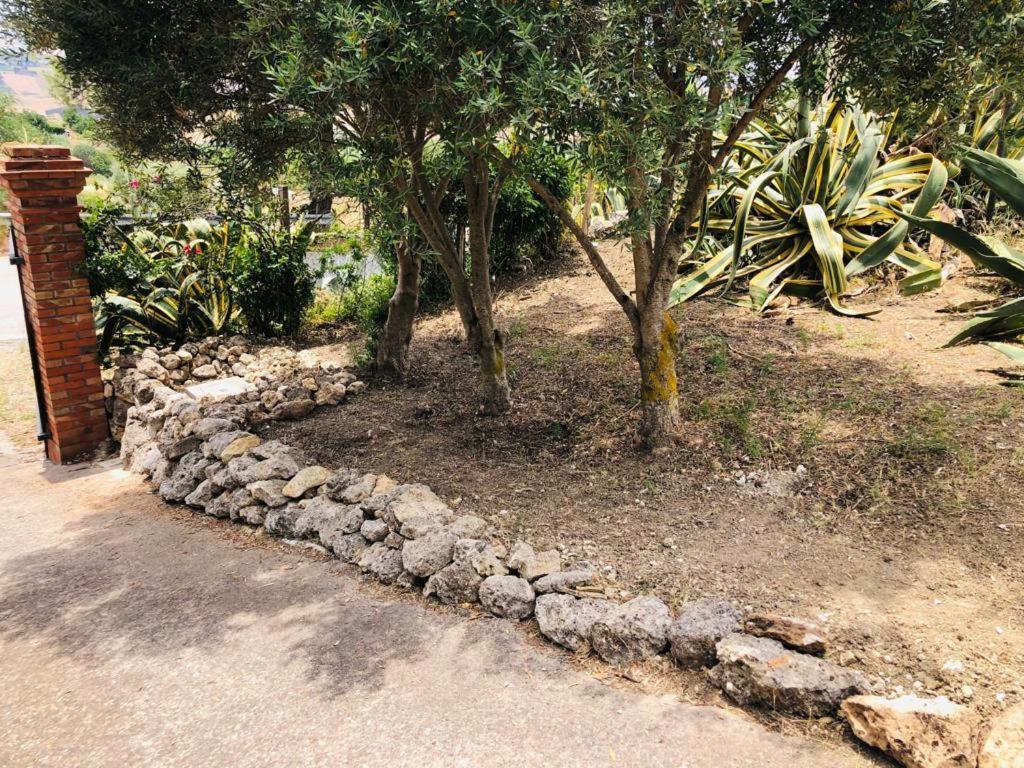 B&B Tenuta La Puntara كالتانيسيتا المظهر الخارجي الصورة