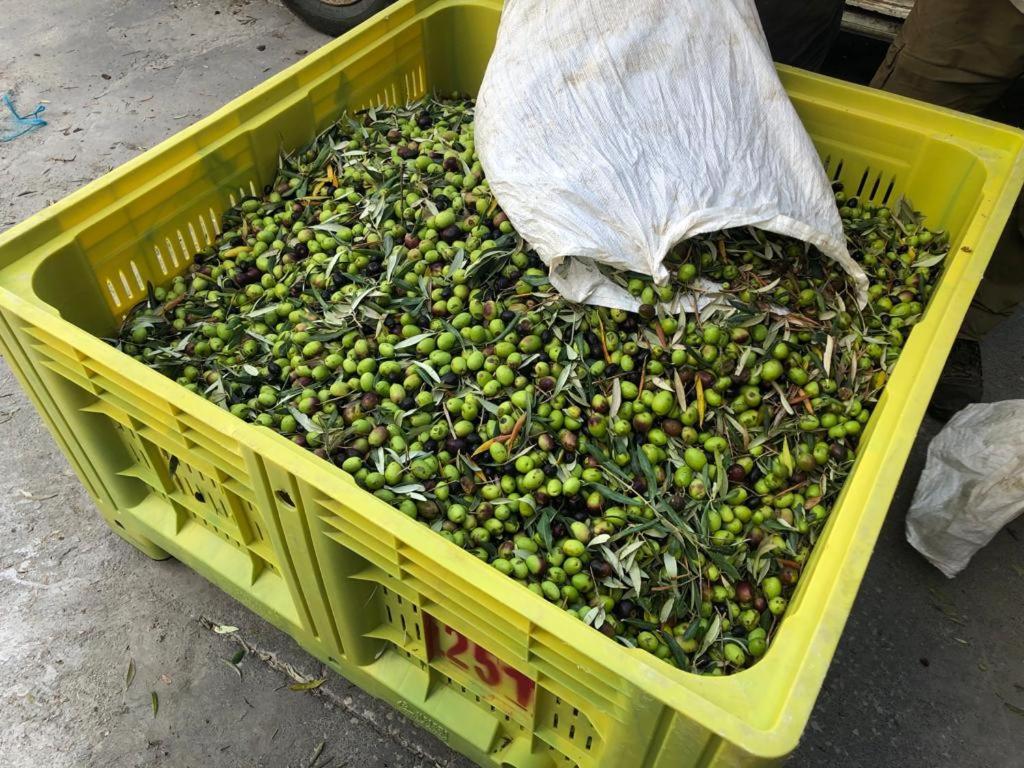 B&B Tenuta La Puntara كالتانيسيتا المظهر الخارجي الصورة