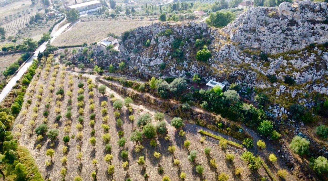 B&B Tenuta La Puntara كالتانيسيتا المظهر الخارجي الصورة