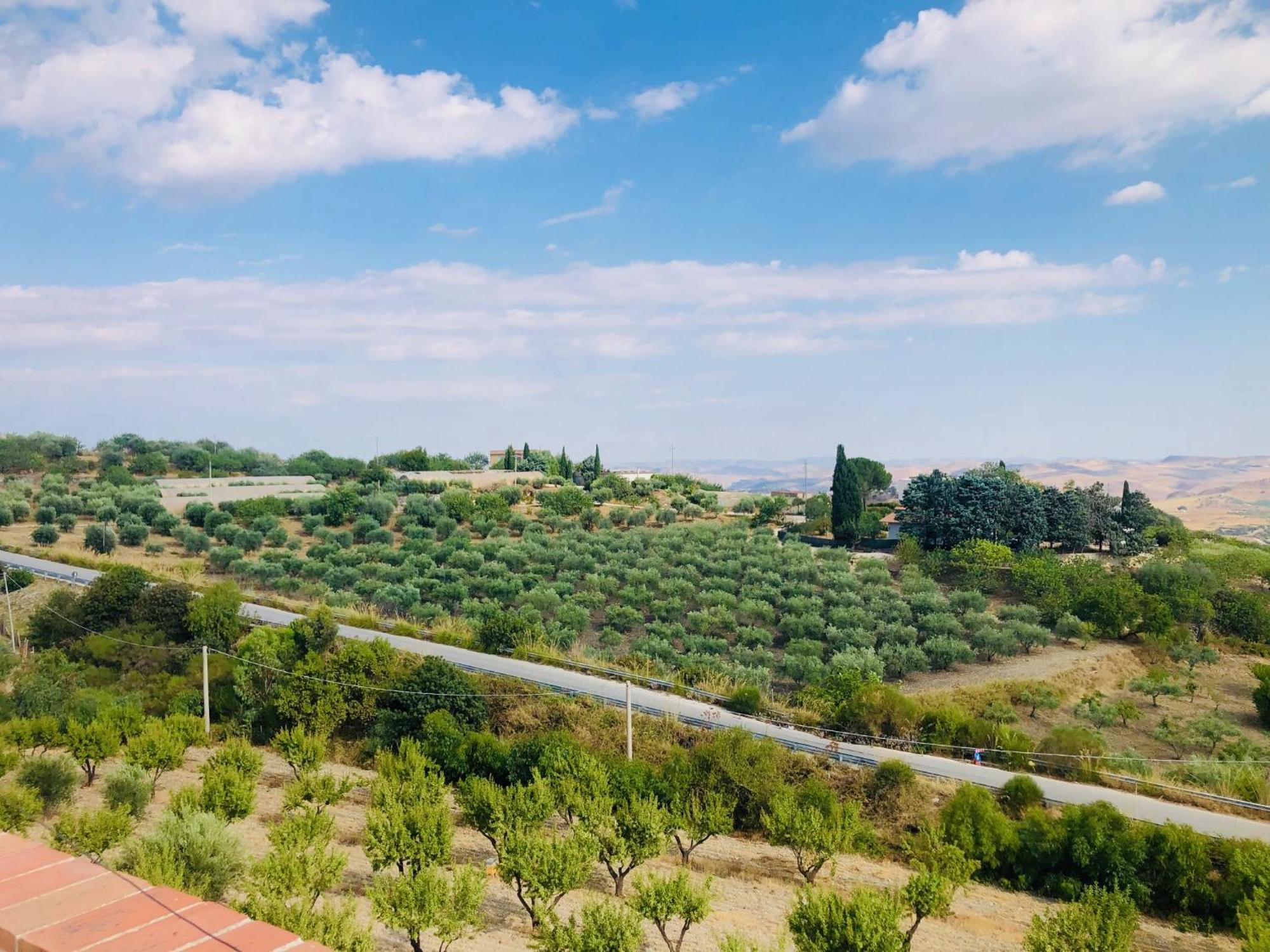 B&B Tenuta La Puntara كالتانيسيتا المظهر الخارجي الصورة