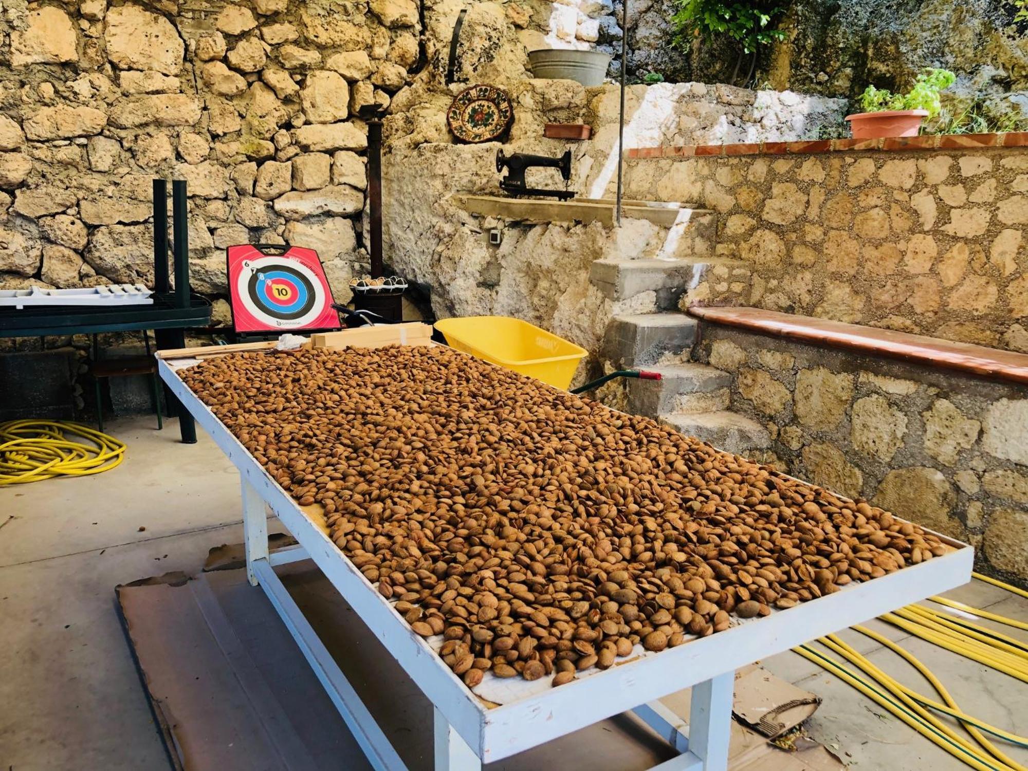 B&B Tenuta La Puntara كالتانيسيتا المظهر الخارجي الصورة